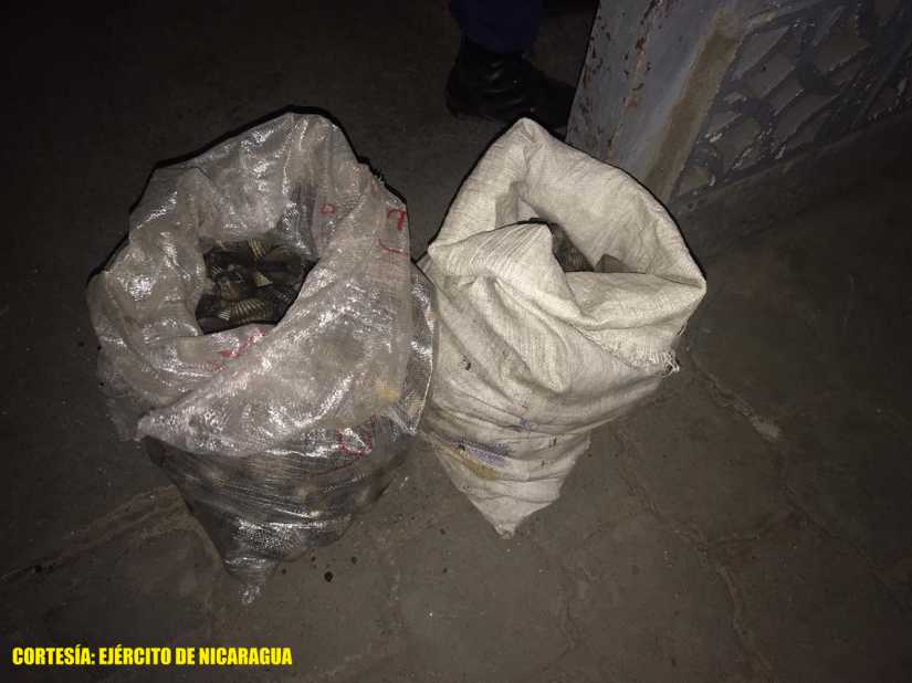 decomisan-conchas-negras